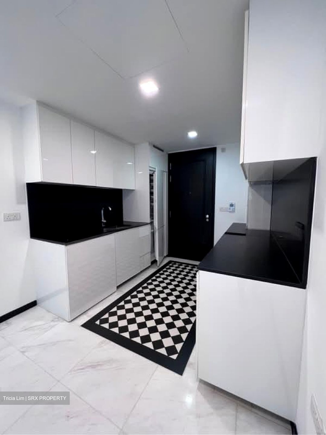 1919 (D9), Apartment #558795321